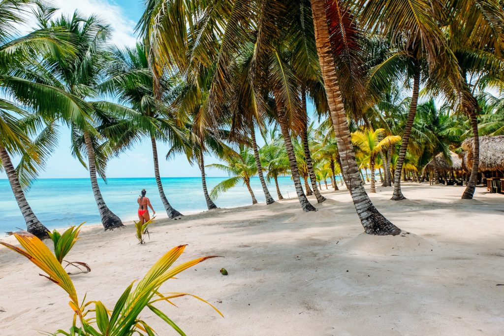 Caribbean beach with palm trees