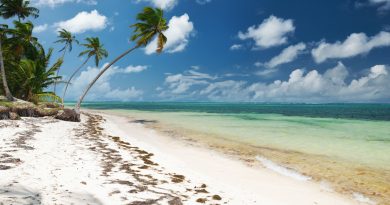 Caribbean wild beach