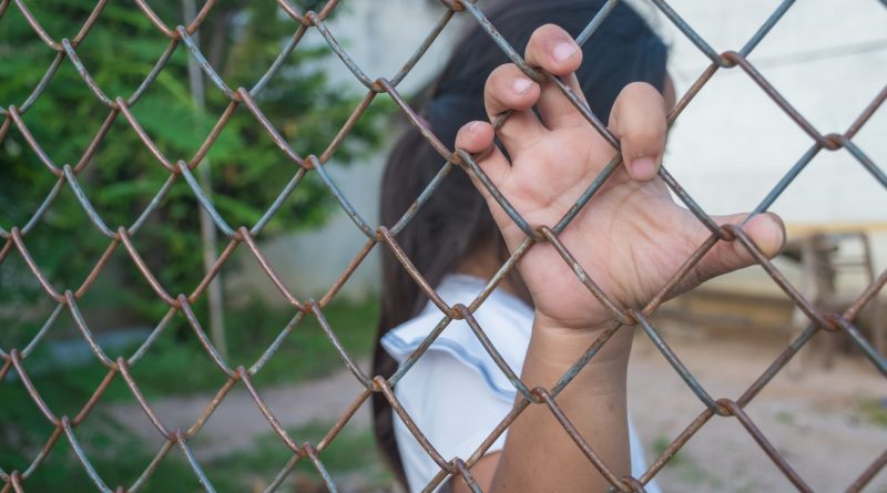 Kid's hands on a metal wire mesh fence.