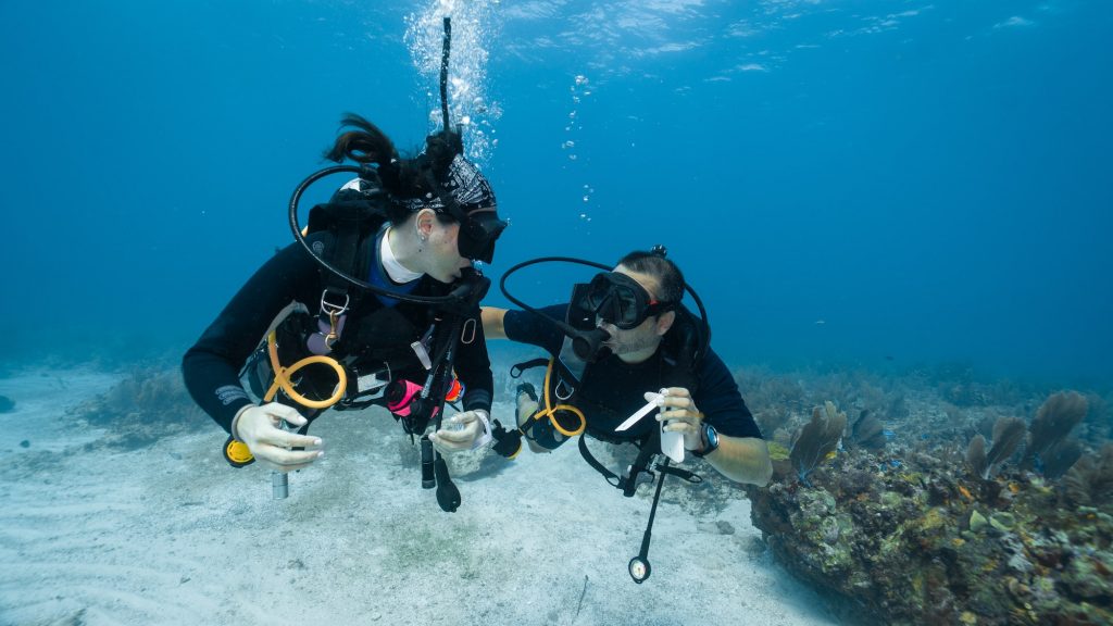 Man proposing marriage underwater to his fiancee