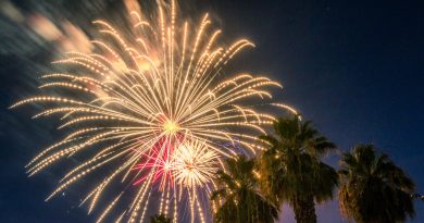 Scenic bright fireworks over the palm trees in the evening
