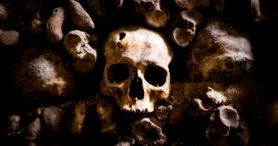 skulls and bones in Paris Catacombs