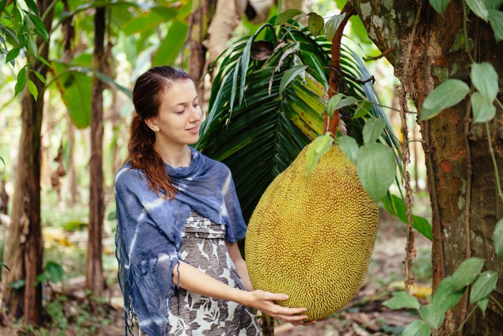 Young female tourist in Asia holding jackfruit in hands on fruit plantation