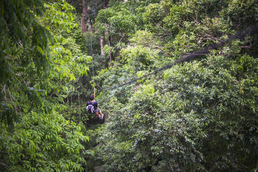 Zip lining on a zip line in Amazon Jungle of Peru on an adventure and adrenaline holiday vacation to
