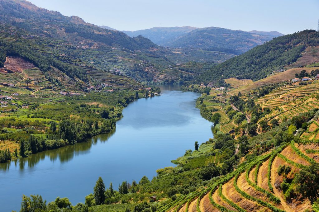 Amazing views of Douro vineyards and river from Messao Frio, Portugal