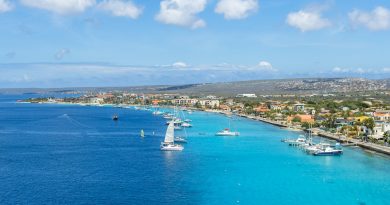 Caribbean, Bonaire, Kralendijk, coast and townscape