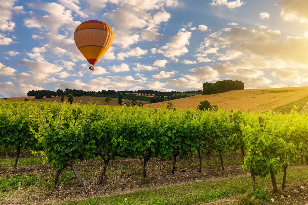 Hot air balloon over the mountains and vineyards. Bordeaux, France.
