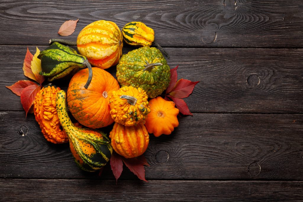 Various colorful squashes and pumpkins