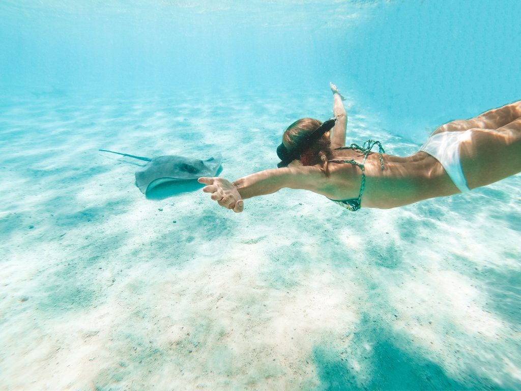 Woman Swimming with stingray