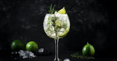 Gin tonic alcoholic cocktail drink with dry gin, rosemary, tonic, lime and ice cubes in wine glass