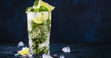 Mojito cocktail or mocktail