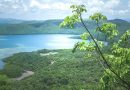 Panoramic view from the top of an island's hill (Martinique)