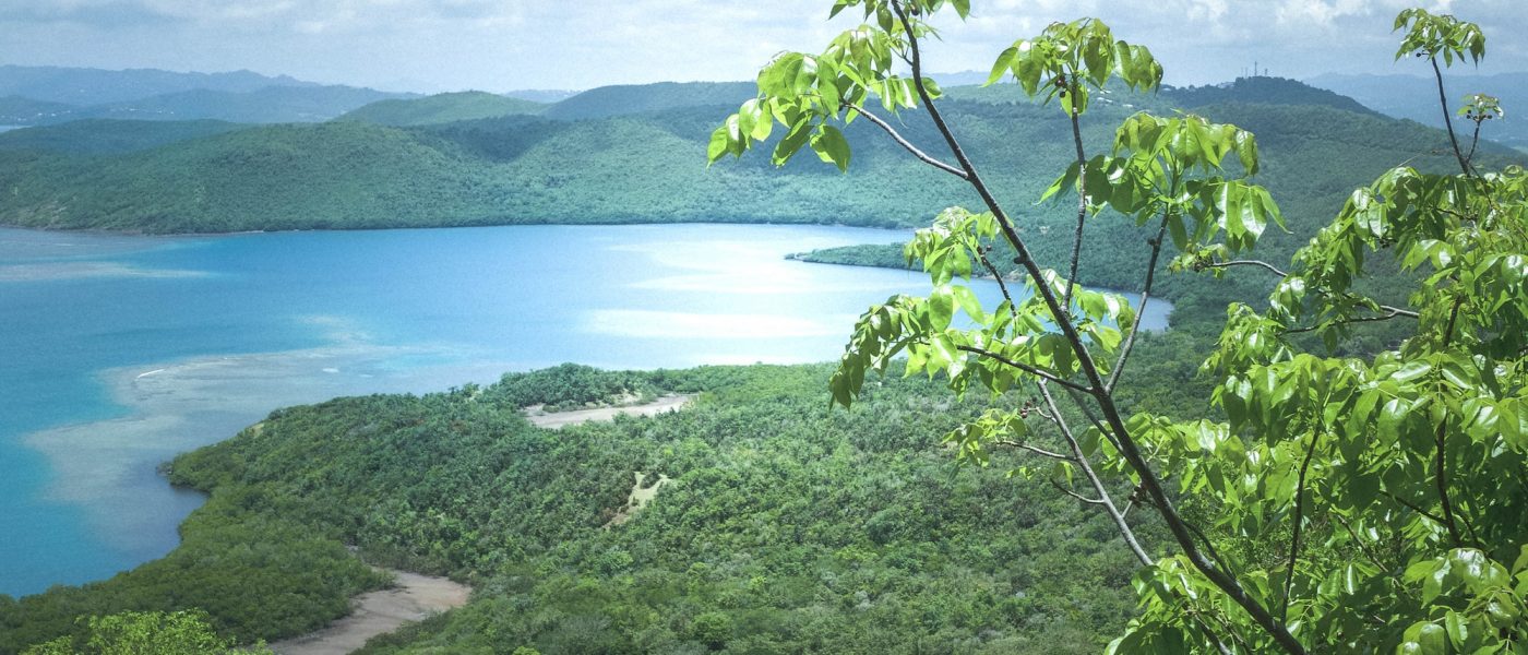 Panoramic view from the top of an island's hill (Martinique)