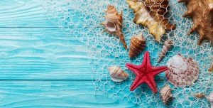 Summer background with sea shells