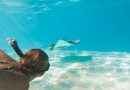 Swimming with stingray
