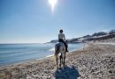 A fairytale picture with a woman riding horse alone on the beach