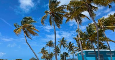 Empty Smathers Beach, Key West, Florida, blue building tall palm coconut trees, tropical paradise