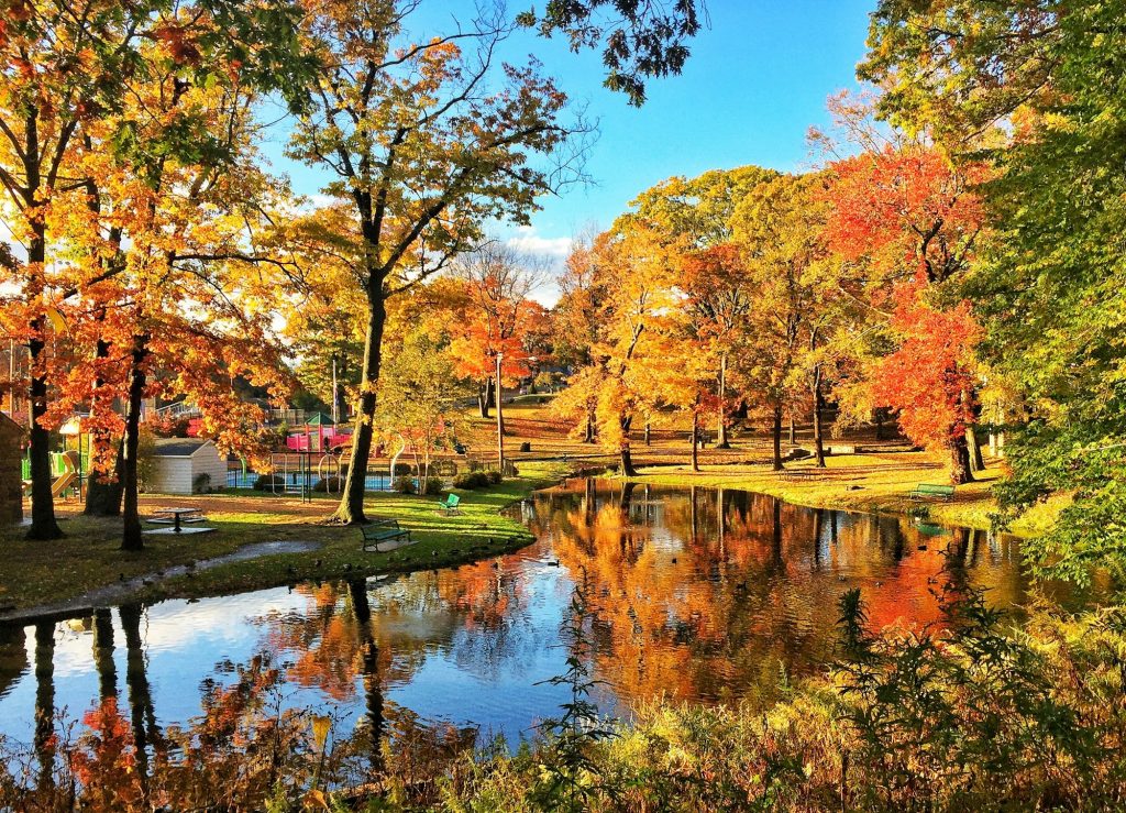 Autumn Nature in a Connecticut Park