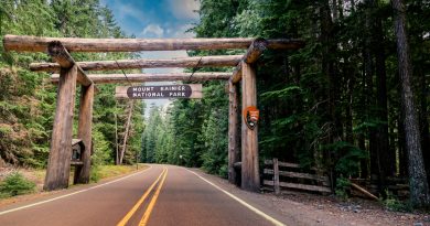 Mount Rainier National Park road entrance.