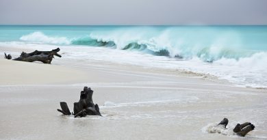 Storm At Caribbean Beach, Antigua