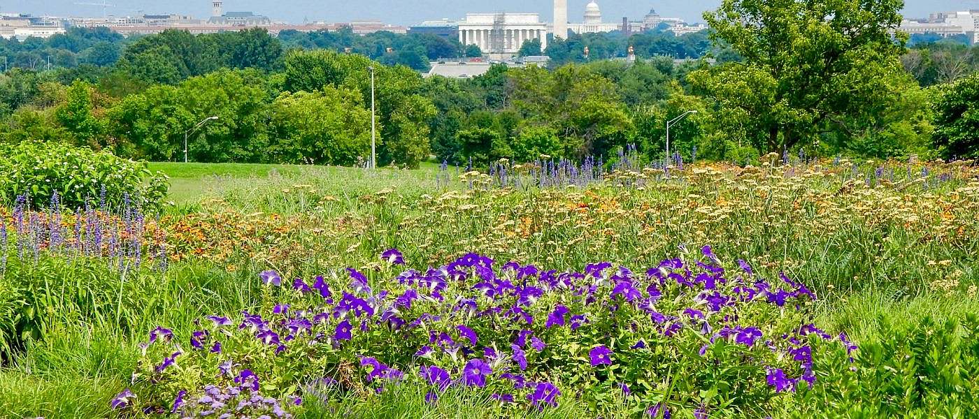 View of the Washington Monument, the United States Capitol & the Lincoln Memorial in Washington, DC.
