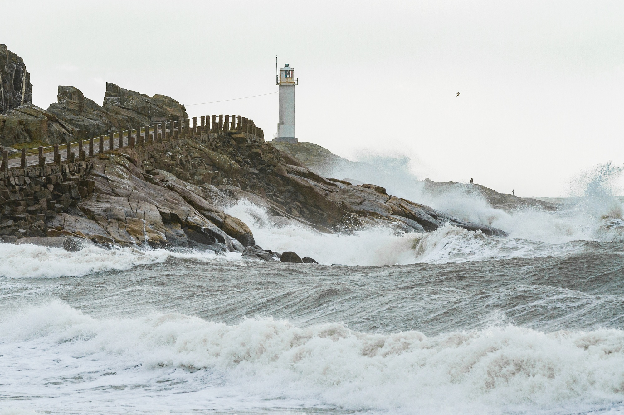Storm Laura shows her muscles in hurricane stormy weather with lighthouse in background, big waves